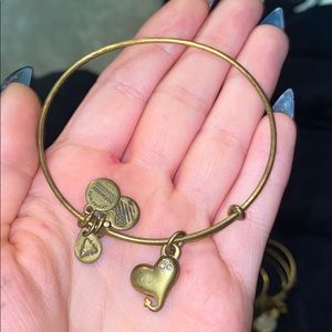 alex and ani heart devil charm bracelet